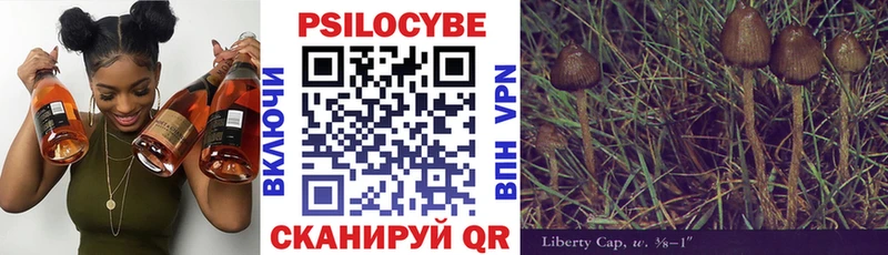 Псилоцибиновые грибы Psilocybine cubensis  Черняховск 